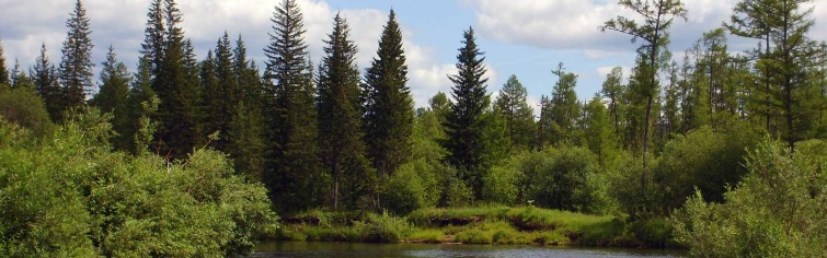 Природа родного края